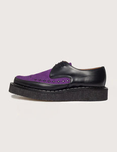 DIANO BLACK/PURPLE SUEDE CREEPERS